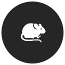 icon1